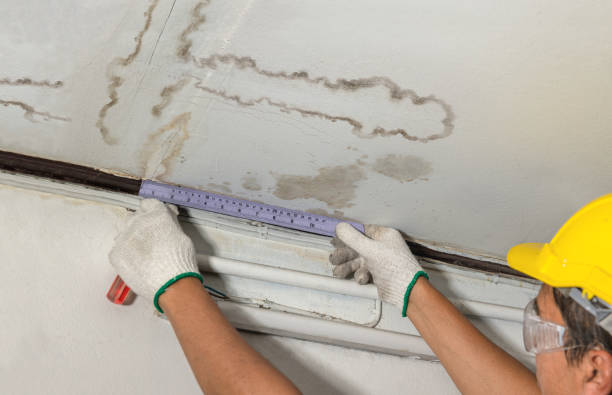 Reliable Water Damage contractor in Cohasset, MA by Water Damage Irwin